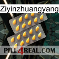 Ziyinzhuangyang cialis2